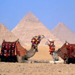 Transfer to Cairo