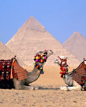 Transfer to Cairo