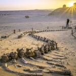 El fayoum oasis tour
