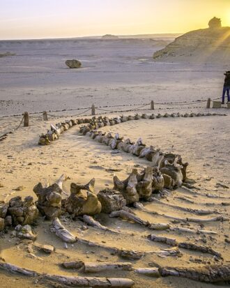 El fayoum oasis tour