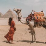 Giza Pyramids and the Egyptian Museum from Dahab by plane