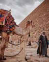 02 Day Tour to Giza Pyramids Saqqara and the Egyptian Museum By Plane from Dahab