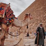 02 Day Tour to Giza Pyramids Saqqara and the Egyptian Museum By Plane from Dahab