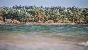 Bahariya Oasis Safari tour from Cairo 2 Baharia Oasis Tour