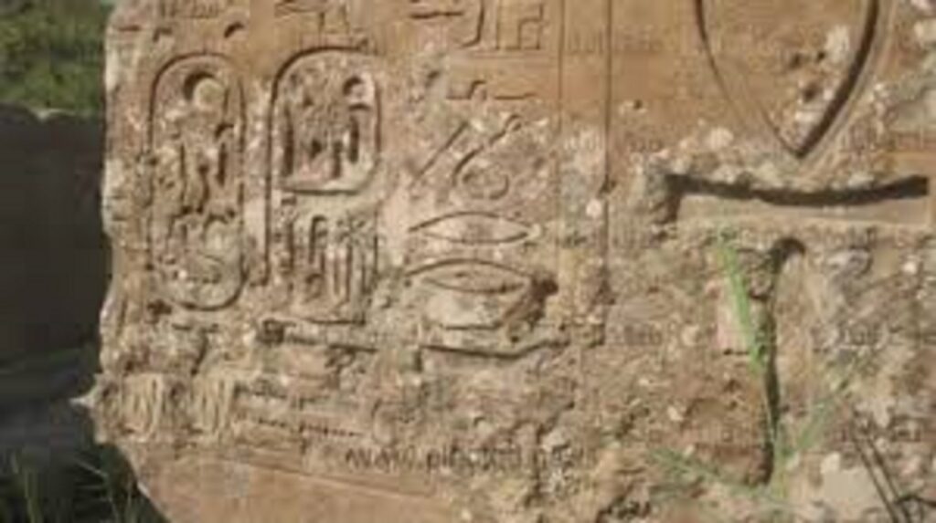 Invitation to visit the great Beni Suef Museum 2021 19 Beni suef museum