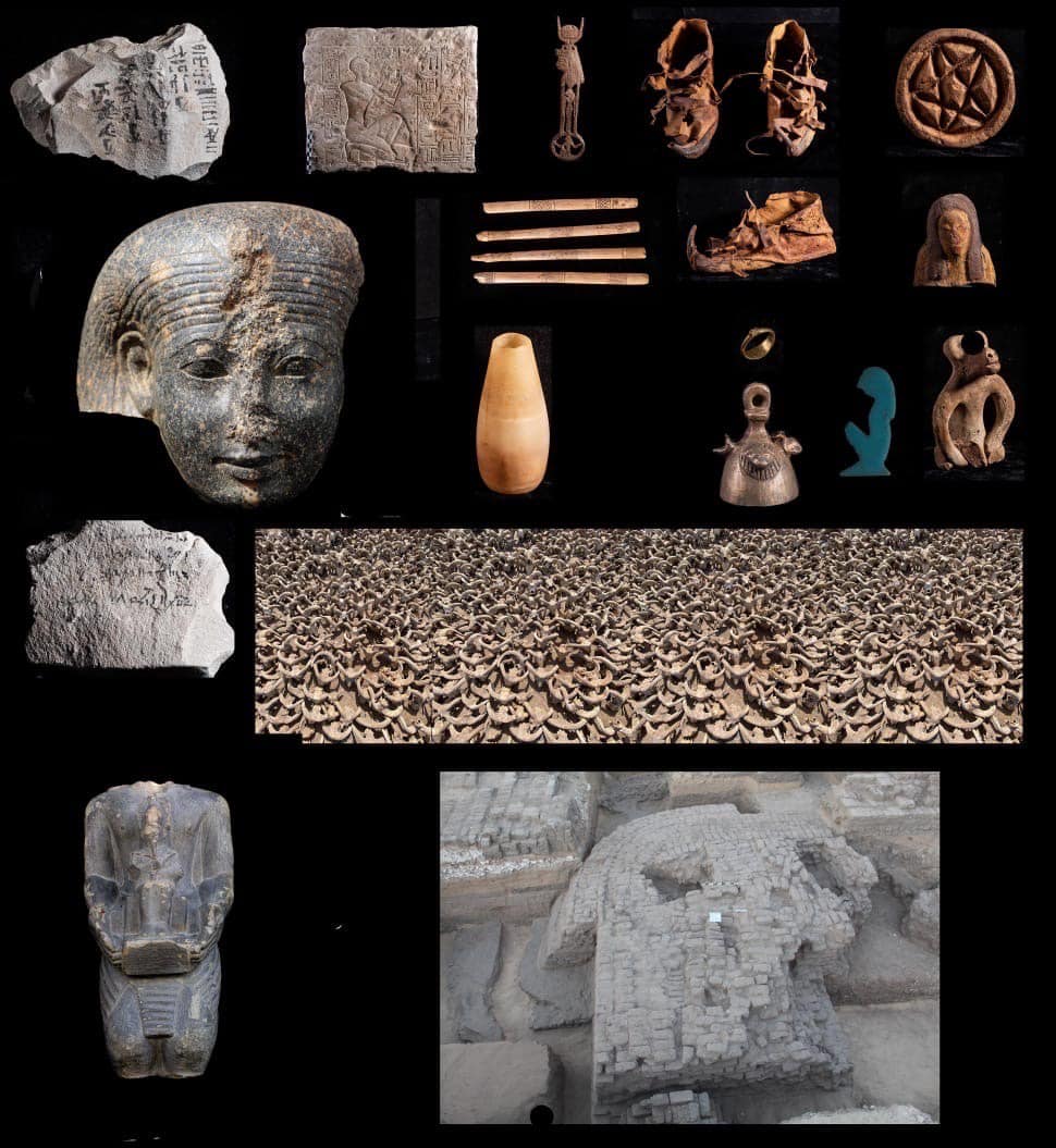 Uncovering over 2000 mummified ram heads in Abydos temple