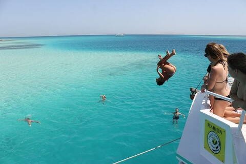 Giza Pyramids and Sakkara tour from Sokhna