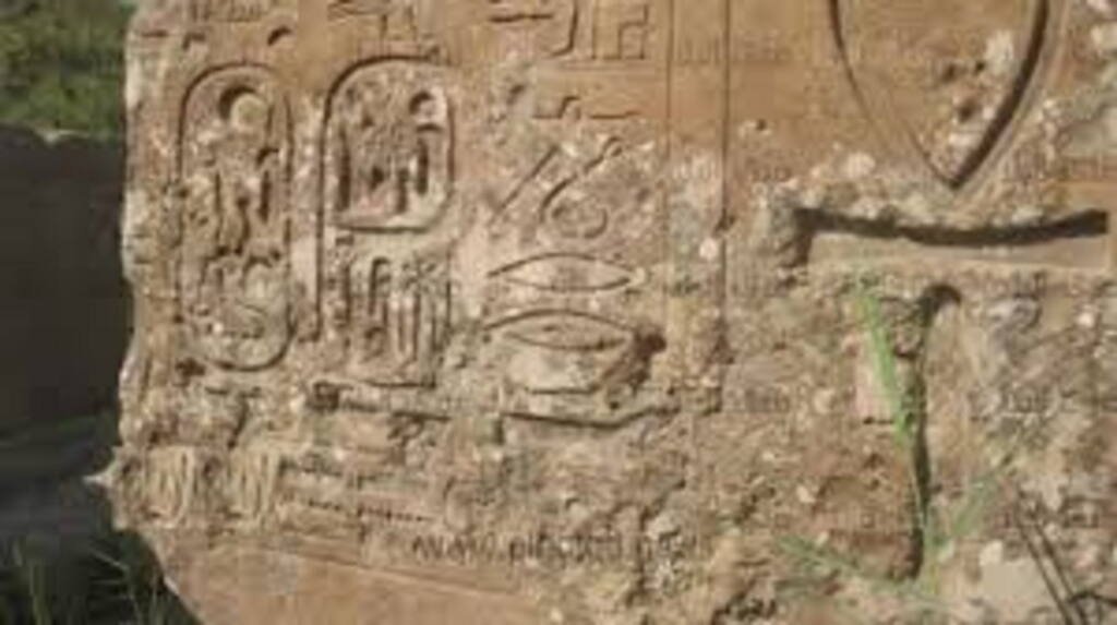 Invitation to visit the great Beni Suef Museum 2021 19 Beni suef museum