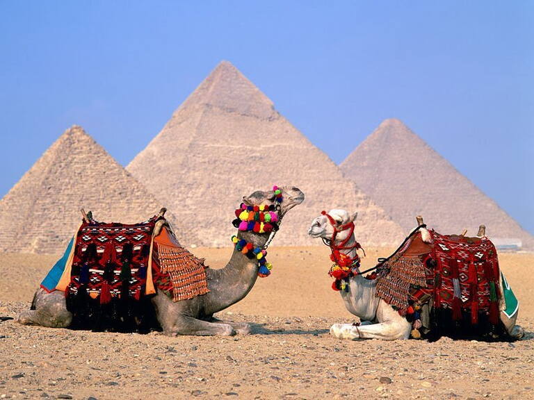 Transfer to Cairo