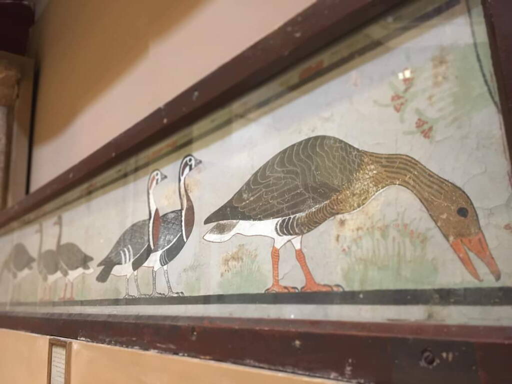 Invitation to visit the great Beni Suef Museum 2021 17 Beni suef museum